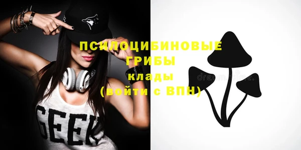 бошки Надым