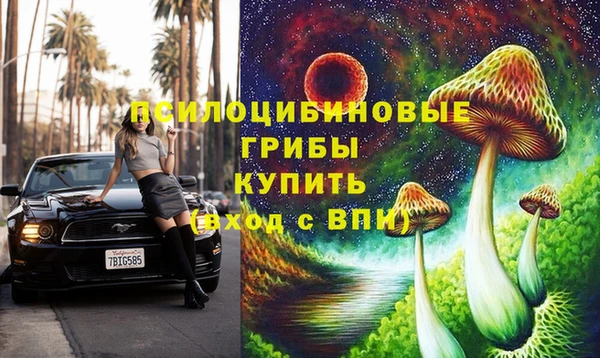 бошки Надым