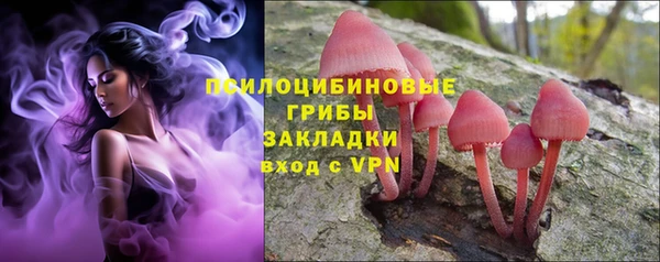 прущие крисы Грязовец