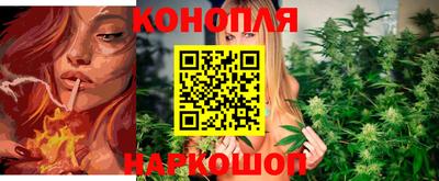 прущие грибы Комсомольск-на-Амуре