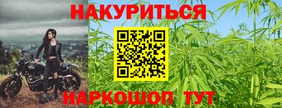 прущие грибы Комсомольск-на-Амуре