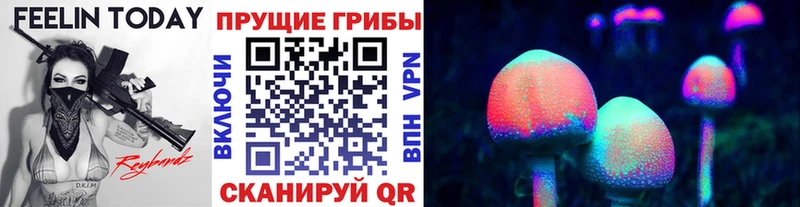 Псилоцибиновые грибы Cubensis  Сургут 