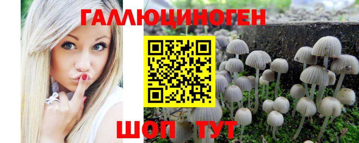 Галлюциногенные грибы GOLDEN TEACHER  Вход с VPN  Сургут 