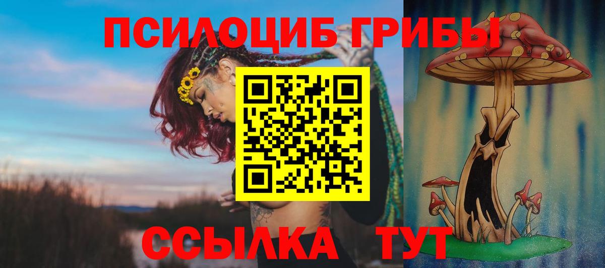 Псилоцибиновые грибы Psilocybine cubensis Сургут