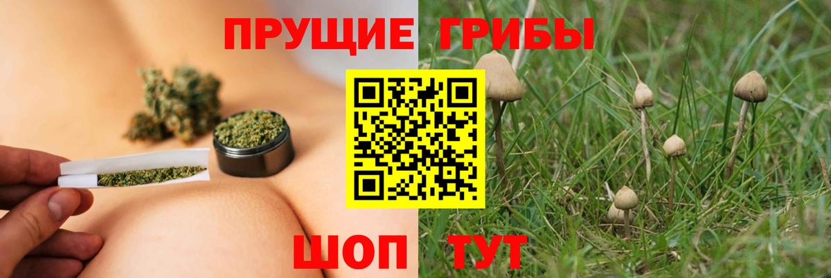 Галлюциногенные грибы мицелий  Сургут 